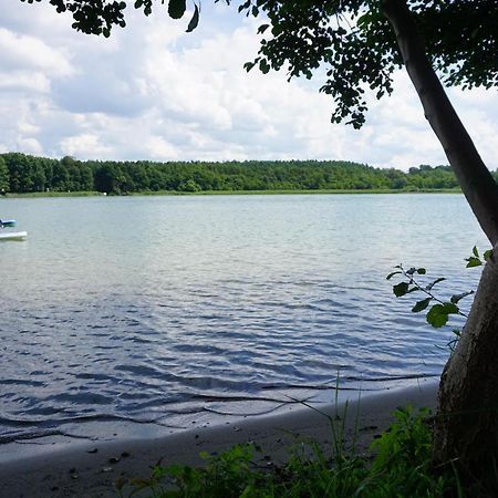 Ferienhaus Sonnenufer Rheinsberg Eksteriør bilde